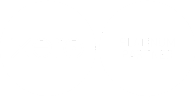Xero and Platinum Partner logos side by side.
